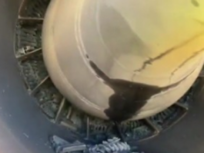 Motore in fiamme spento in volo, paura sul volo Easyjet da Milano a Lamezia Terme