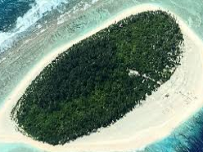 Naufraghi su isola deserta si salvano scrivendo sulla spiaggia “HELP” fatto con foglie di palma