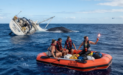 Tragedia sfiorata nel Pacifico: lo yacht australiano Tai Tam affonda dopo l’impatto con una balena, equipaggio salvo