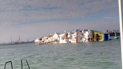 Romania, nave con 15mila ovini si ribalta nel porto, strage di pecore nel Mar Nero - Video