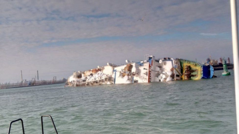 Romania, nave con 15mila ovini si ribalta nel porto, strage di pecore nel Mar Nero  - Video 