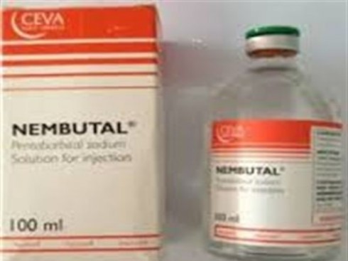 nembutal nembutal