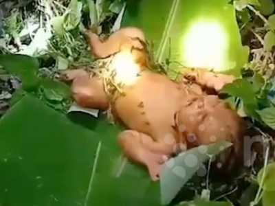 Miracolo di Natale: bimba abbandonata in una remota foresta thailandese (VIDEO)