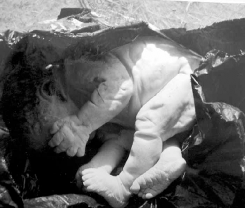 Choc in Svizzera, neonata trovata senza vita dentro un sacchetto di plastica in un parcheggio