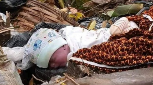 Neonata abbandonata al gelo dentro una scatola di cartone - AGGIORNAMENTO