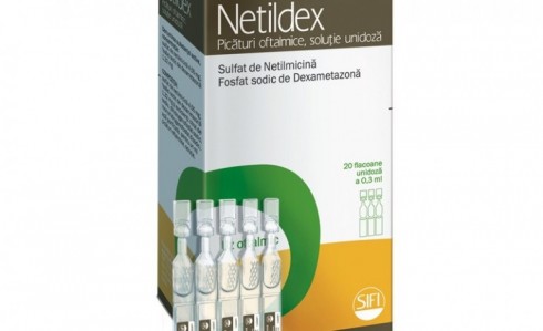 netildex