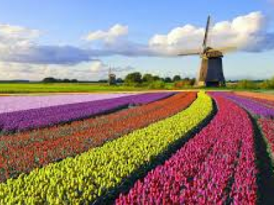 Addio al nome "Olanda": cambia da gennaio 2020. La nazione dei tulipani si chiamerà solamente Paesi Bassi. 
