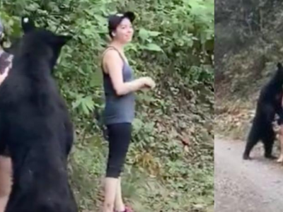 Incontro finito bene tra un orso nero e tre ragazze. Una delle donne ne approfitta per fare un selfie.