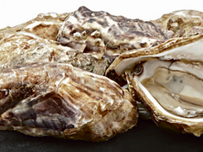 Allerta UE: richiamo di ostriche Bretagne Creuses spéciale