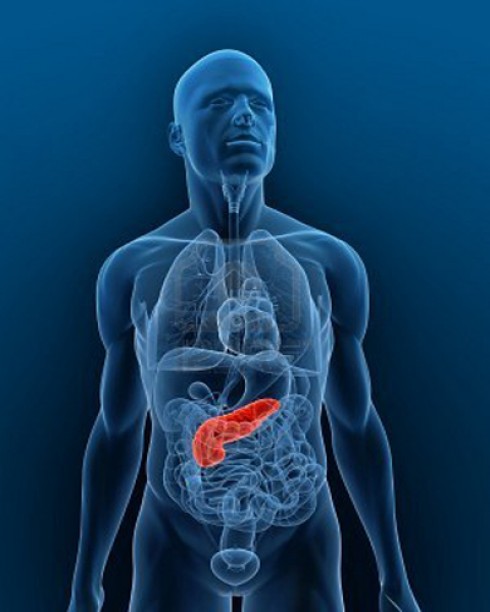 pancreas artificiale pancreas artificiale