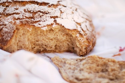 pane pane