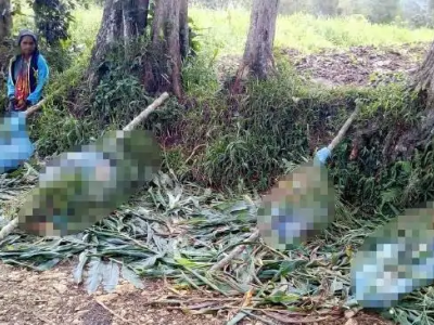 Donne, alcune incinte e bambini uccisi in un massacro tribale in Papua Nuova Guinea