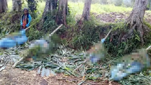 Donne, alcune incinte e bambini uccisi in un massacro tribale in Papua Nuova Guinea