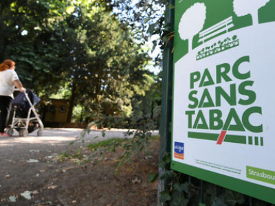 "Parchi senza tabacco", Strasburgo bandisce il tabacco dai suoi parchi e giardini pubblici