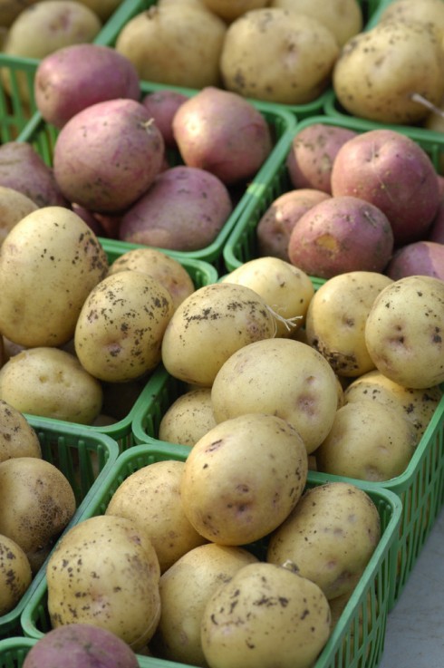patate patate