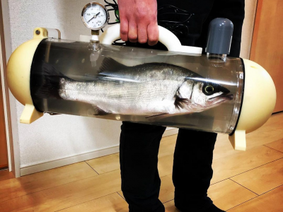 “Borsa Katsugyo” un nuovo accessorio portatile per portare a spasso il pesciolino - Il video del prototipo. 