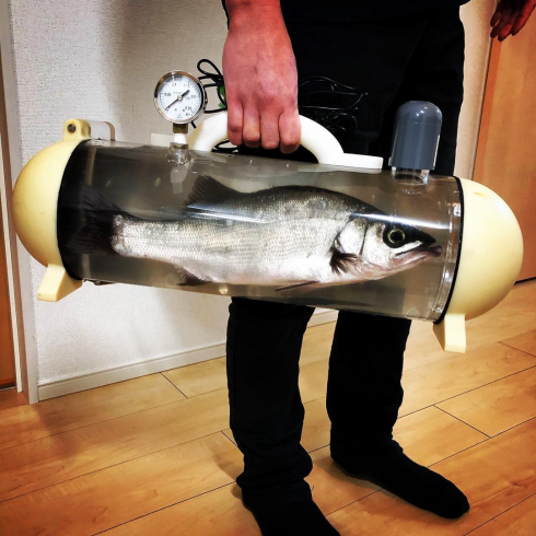 “Borsa Katsugyo” un nuovo accessorio portatile per portare a spasso il pesciolino - Il video del prototipo. 