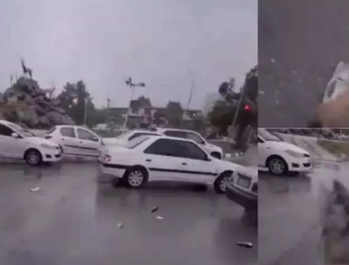 Sorprendente 'pioggia di pesci' in una città iraniana: ecco il motivo – Il video