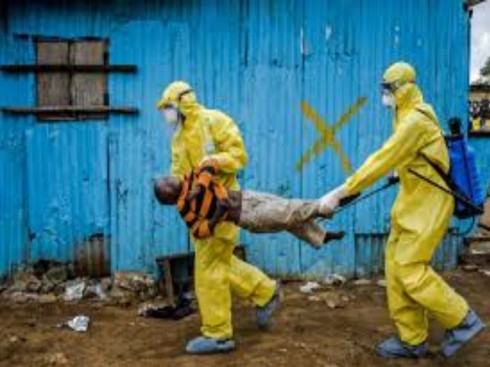 epidemia peste madagascar epidemia peste madagascar