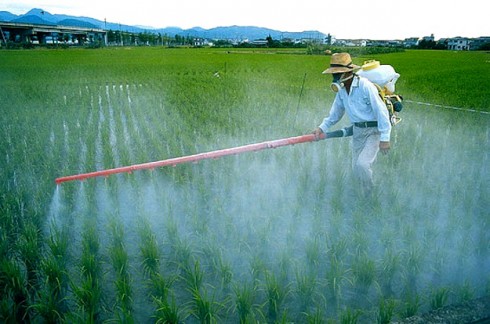 pesticidi pesticidi