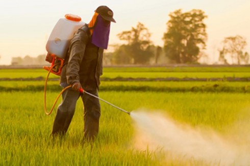 Oltre l'80% della superficie agricola europea contiene pesticidi