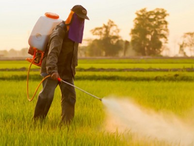 Oltre l'80% della superficie agricola europea contiene pesticidi