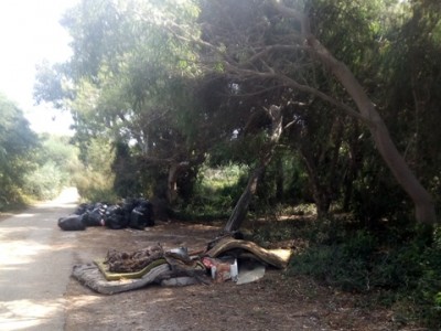 Vecchia pineta di San Cataldo di Lecce. I volontari la ripuliscono e nessuno dell’amministrazione passa a ritirare i rifiuti
