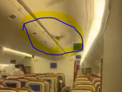 India, paura in volo, spunta un pipistrello a bordo: panico tra i passeggeri. 