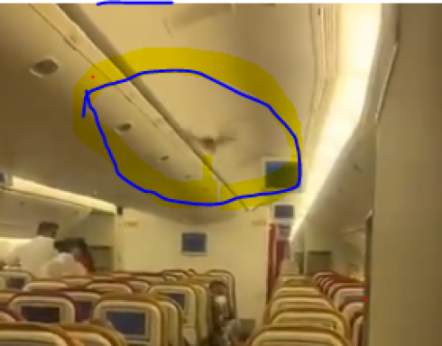 India, paura in volo, spunta un pipistrello a bordo: panico tra i passeggeri.