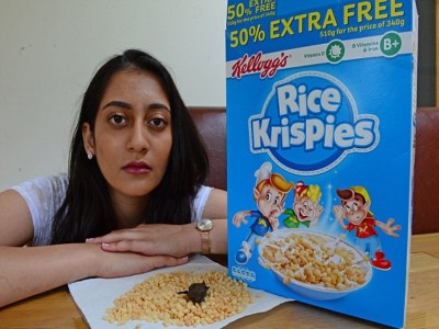 pipistrello nei cereali