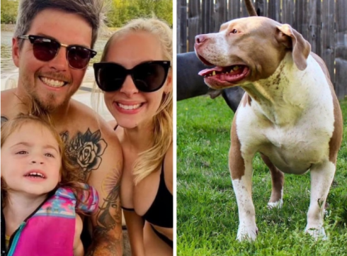 Tragedia negli Stati Uniti, fratellini di 5 mesi e 2 anni sbranati a morte dai due cani pitbull di famiglia