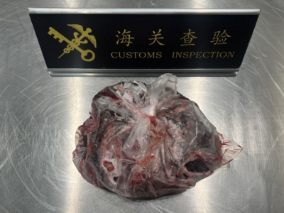 La dogana dell'aeroporto di Qingdao Jiaodong in Cina ha intercettato la placenta umana introdotta illegalmente nel paese