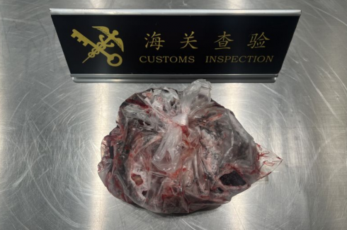 La dogana dell'aeroporto di Qingdao Jiaodong in Cina ha intercettato la placenta umana introdotta illegalmente nel paese