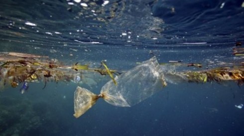 Coca-Cola Company, PepsiCo,Unilever e Nestlé, ecco le prime quattro aziende che producono più inquinamento da plastica al mondo. 