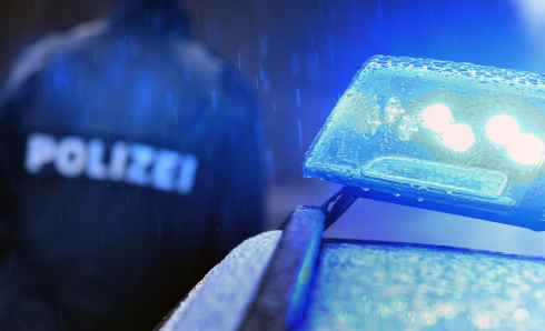 Madre morta mummificata con lettiera per gatti.