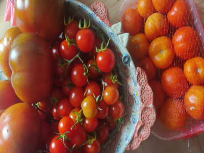 Il pomodoro essenziale per ridurre il rischio di ipertensione