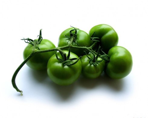 pomodori verdi pomodori verdi