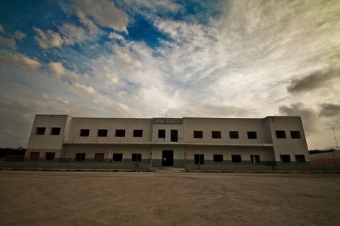 regina pacis regina pacis