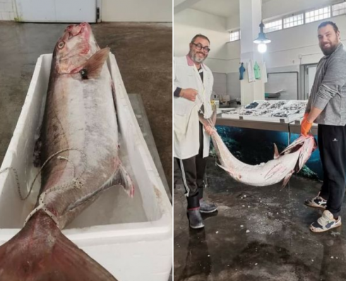 Pescata una ricciola imperiale di oltre 48,5 chili a Castro di Lecce