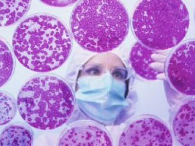 Allarme dalla Svizzera, in arrivo una "super-variante" del virus Covid-19. 