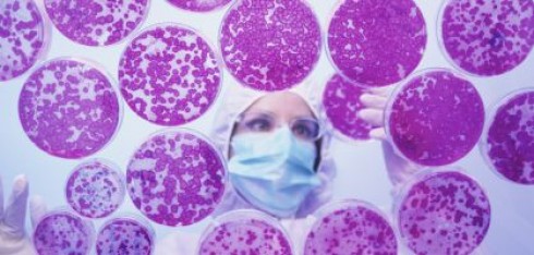 Allarme dalla Svizzera, in arrivo una "super-variante" del virus Covid-19.