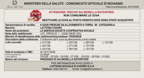 Salmonella enteritidis nell’allevamento, maxi richiamo di uova fresche “Latteria Chiuro”