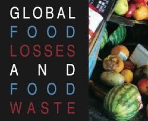 ridurre gli sprechi alimentari per nutrire il mondo