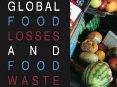 ridurre gli sprechi alimentari per nutrire il mondo