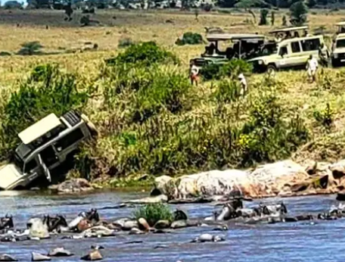 Pericolo safari: jeep che trasporta turisti svizzeri finisce in un fiume infestato dai coccodrilli