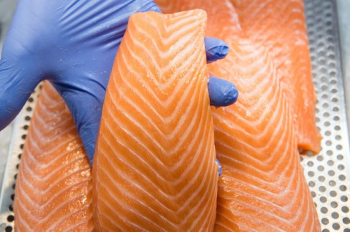 Listeria nei prodotti al salmone, Coop, Migros, Volg, negozi Prima e i punti vendita TopShop lo ritirano dagli scaffali