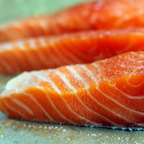 salmone salmone