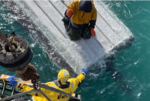 Un ragazzo di 15 anni sopravvive per diversi giorni su una barca capovolta nel mare di Bering in Alaska