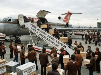 L&rsquo;incredibile ponte aereo del 1974: quando l'Europa salv&ograve; migliaia di rondini a bordo di un Boeing 727
