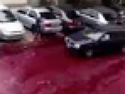 Buenos Aires, serbatoio di stoccaggio del mattatoio rovescia 500 litri di sangue animale per le strade della città - VIDEO